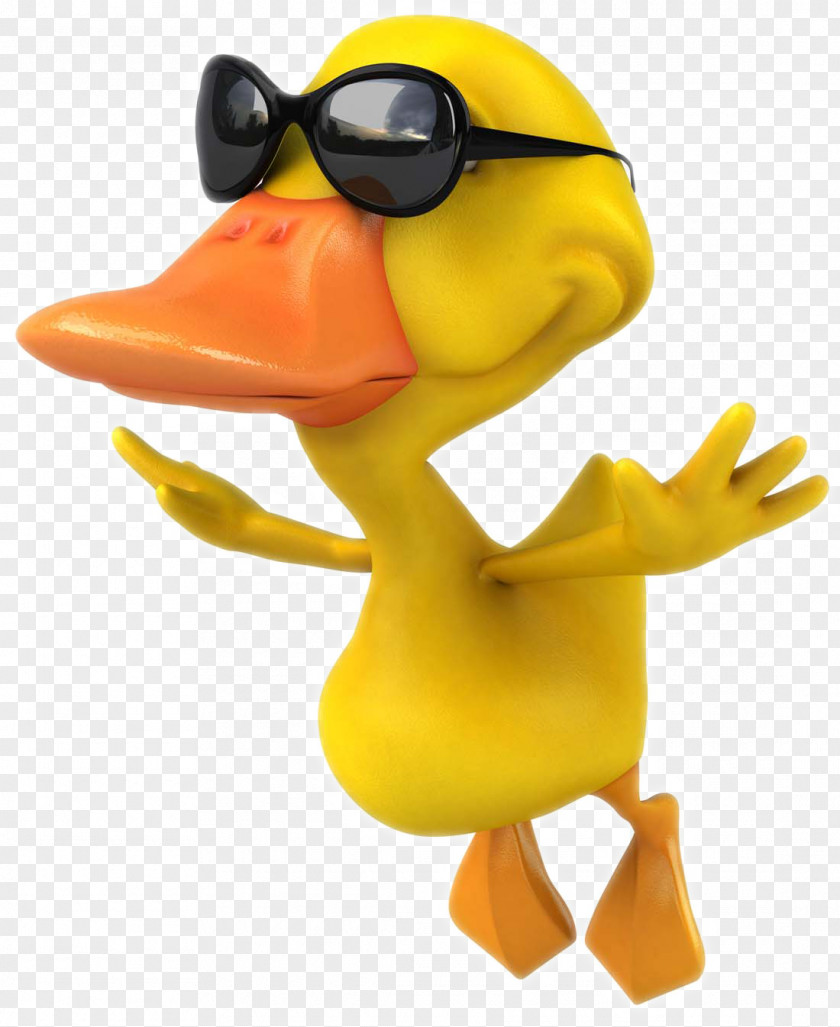 Cartoon Duck Pictures Mallard Stock Photography Clip Art PNG