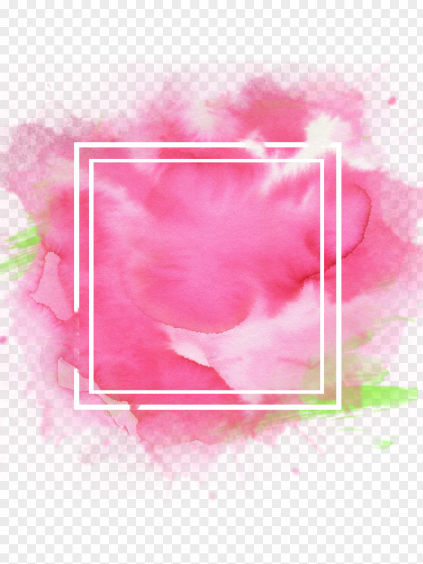 Pink Magenta PNG