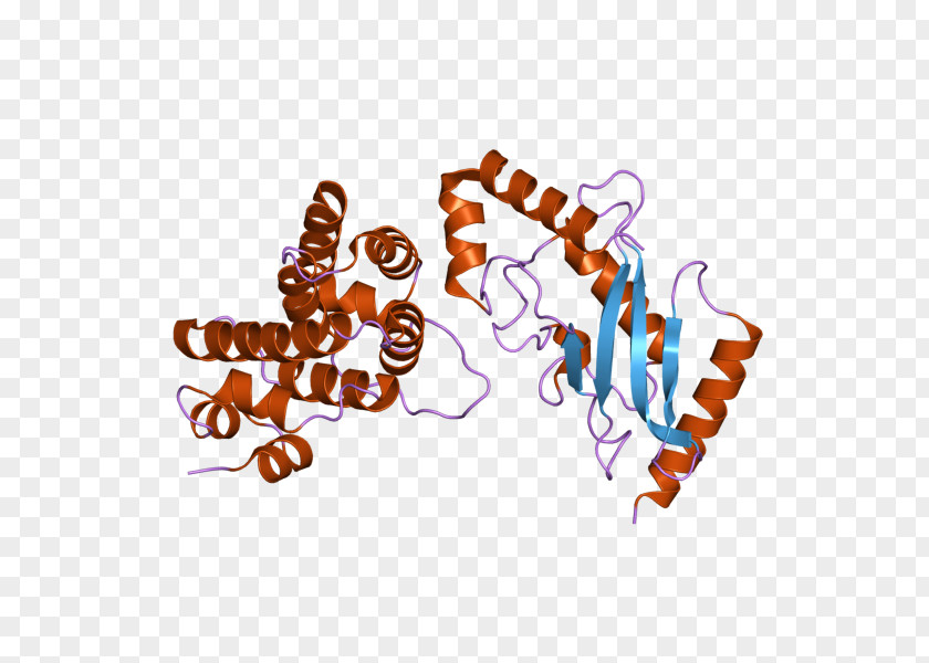 UBE2I RANGAP1 Ubiquitin-conjugating Enzyme Gene PNG