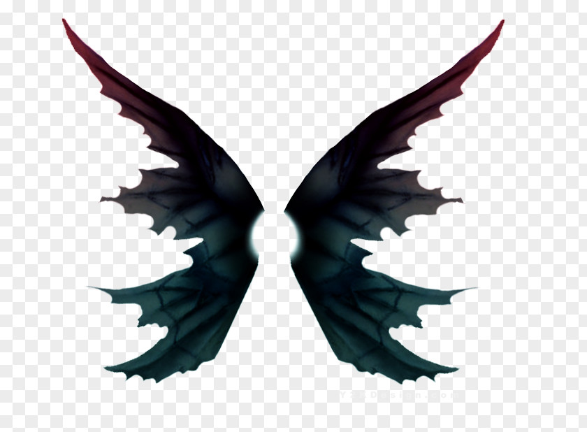 Butterfly Wing Raster Graphics PNG