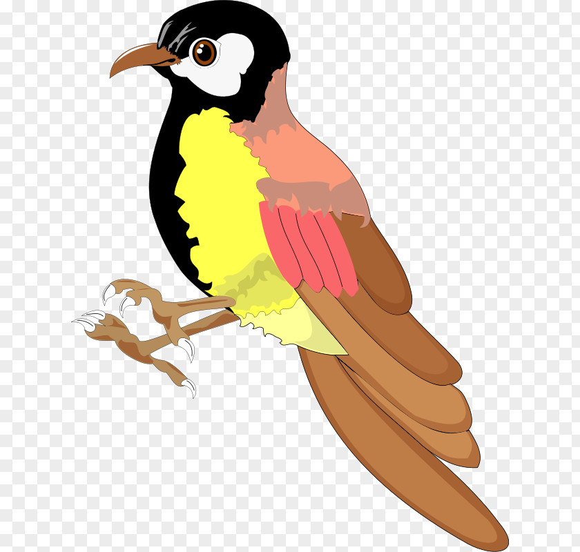 Free Bird Vector Alouette Download Clip Art PNG