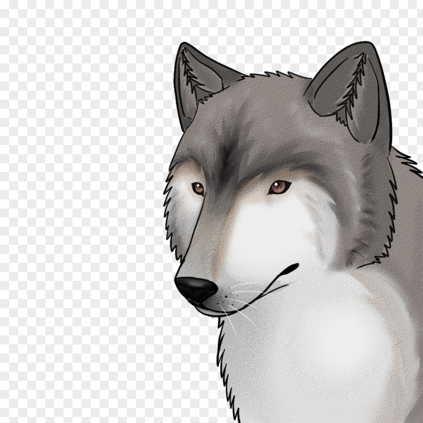 Husky Siberian Sakhalin Dog Breed Snout PNG