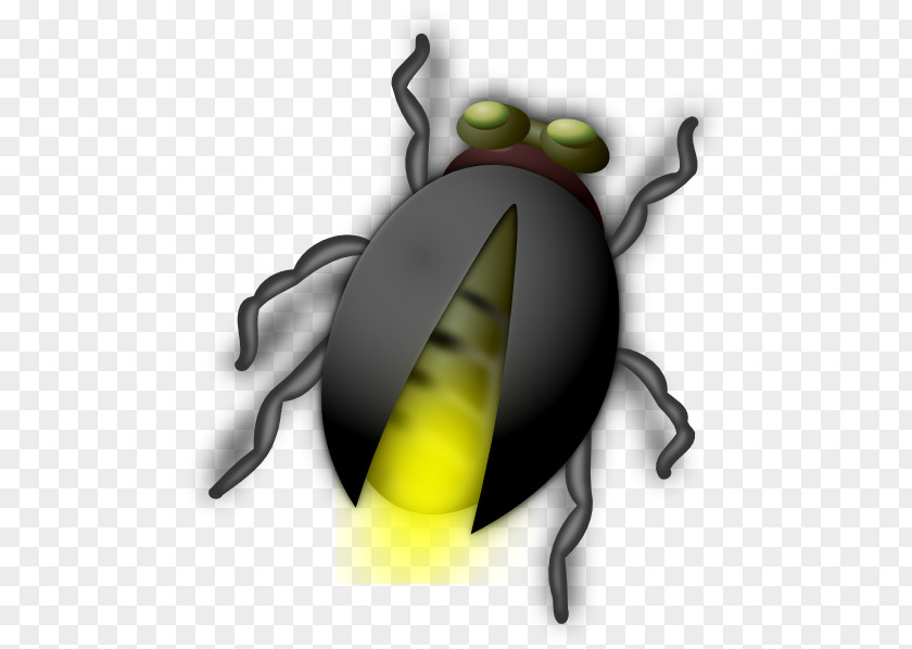 Firefly Cliparts Beetle Free Content Clip Art PNG