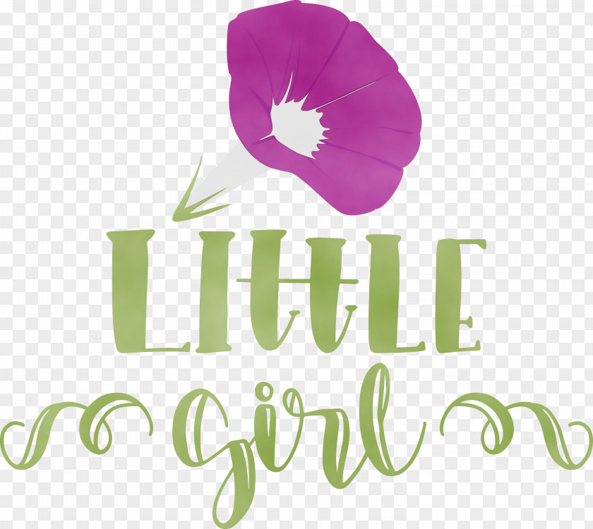 Flower Logo Petal Font Meter PNG