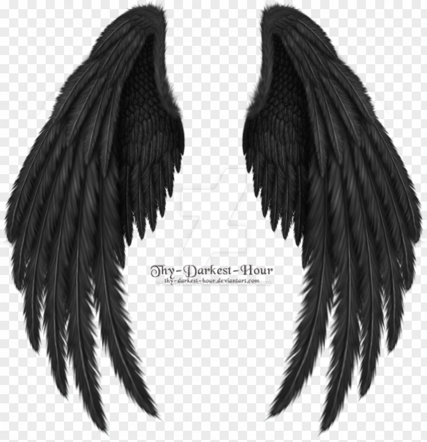 Heart Wing Desktop Wallpaper Clip Art PNG