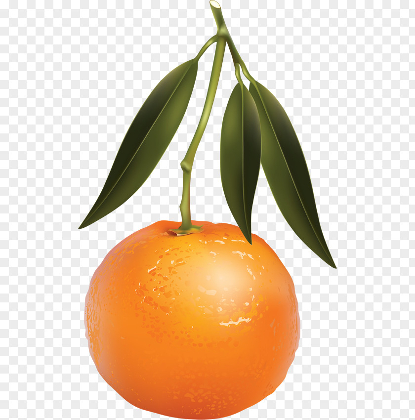 Juice Clementine Tangerine Mandarin Orange PNG