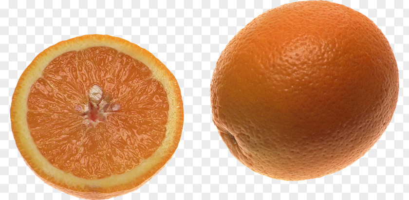 Orange Blood Tangerine Tangelo Clementine PNG