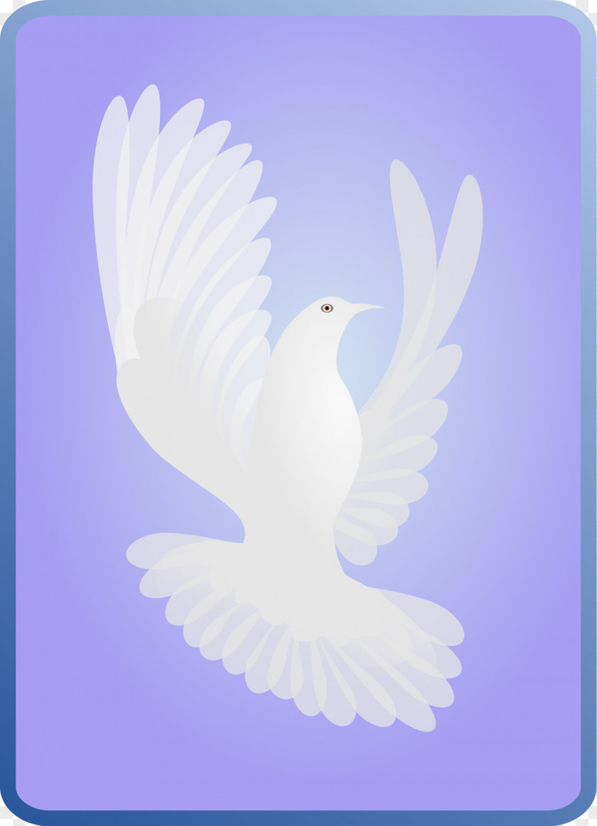 DOVES Doves As Symbols Holy Spirit In Christianity God Love PNG