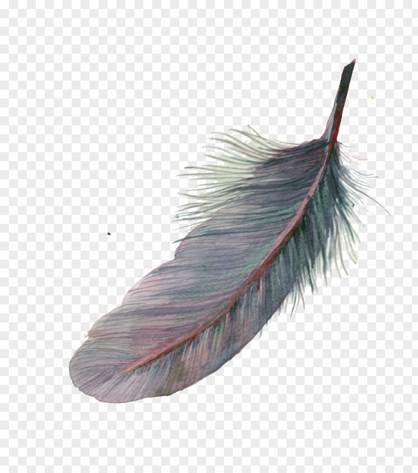 Feather Watercolor Painting Pixel PNG