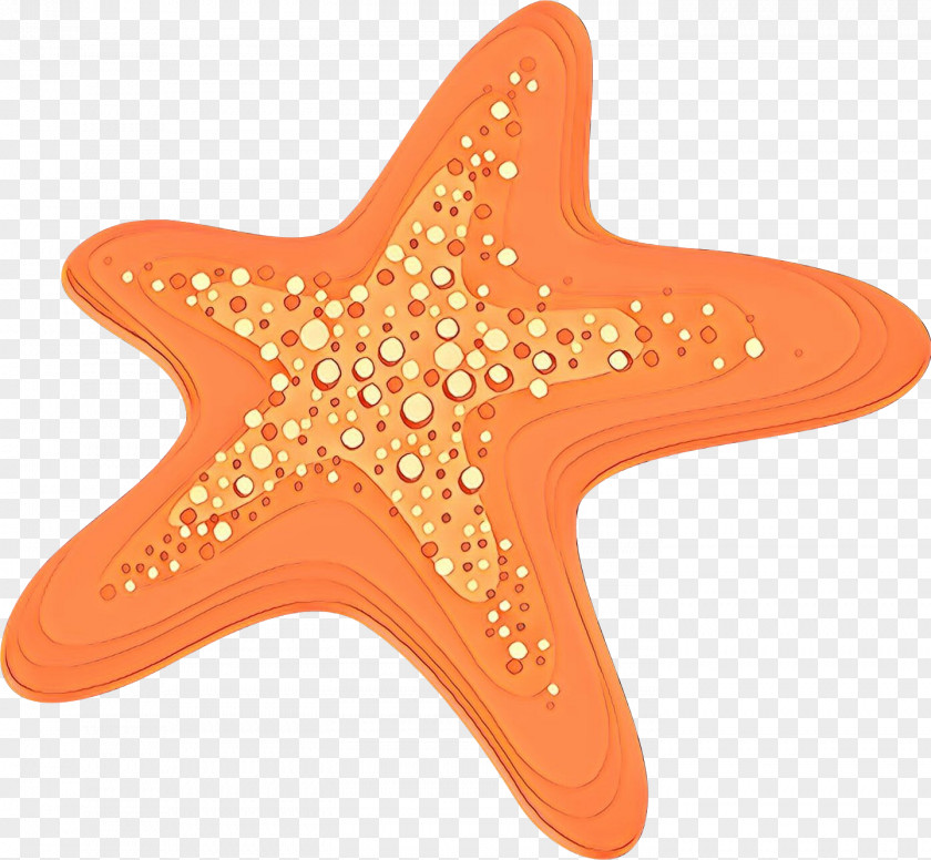 Marine Invertebrates Star Orange PNG