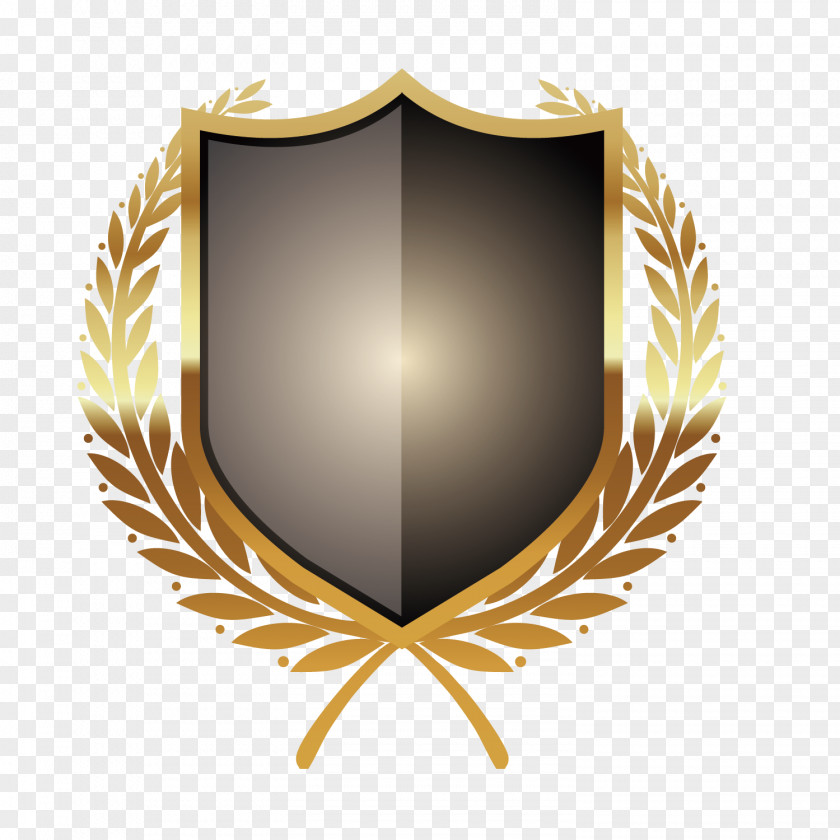 Metal Shield + Badge Icon PNG