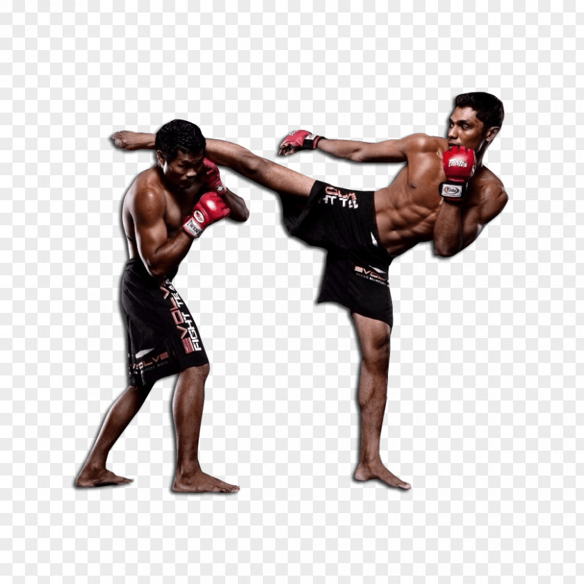 Mixed Martial Artist Arts Combat Sport Pradal Serey Strike Sanshou PNG