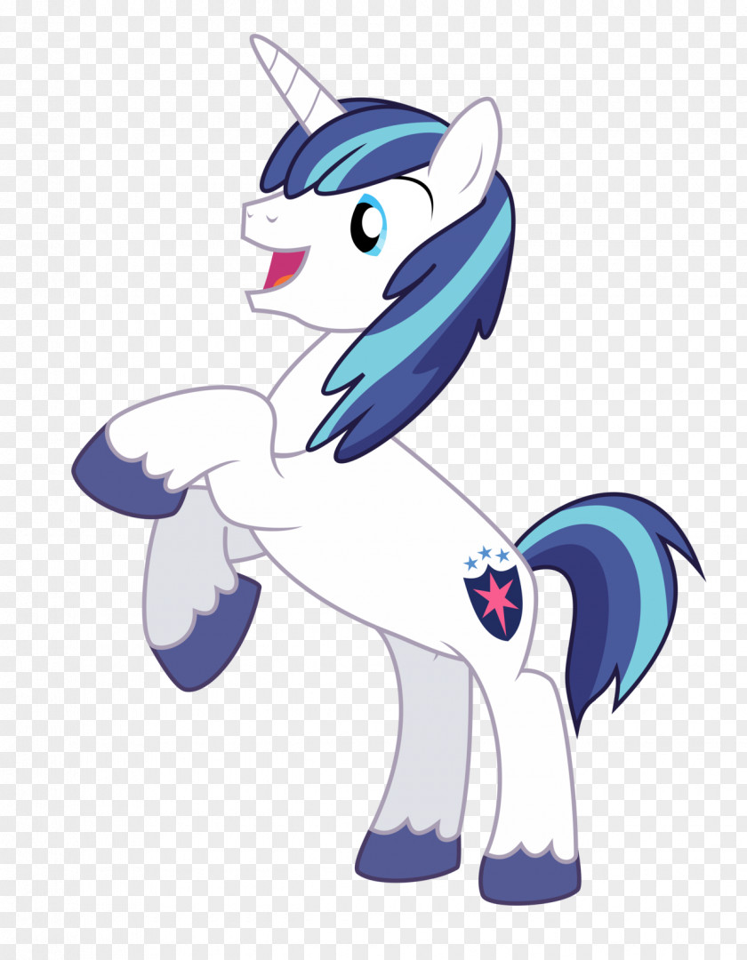 My Little Pony Princess Cadance Twilight Sparkle Rainbow Dash Celestia PNG