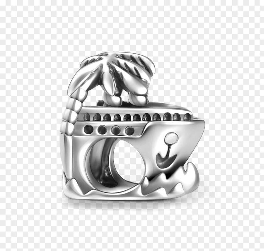 Silver Earring Charm Bracelet Charms & Pendants PNG