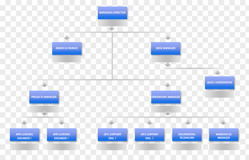 Business Organizational Chart Corporation Corporate Structure PNG