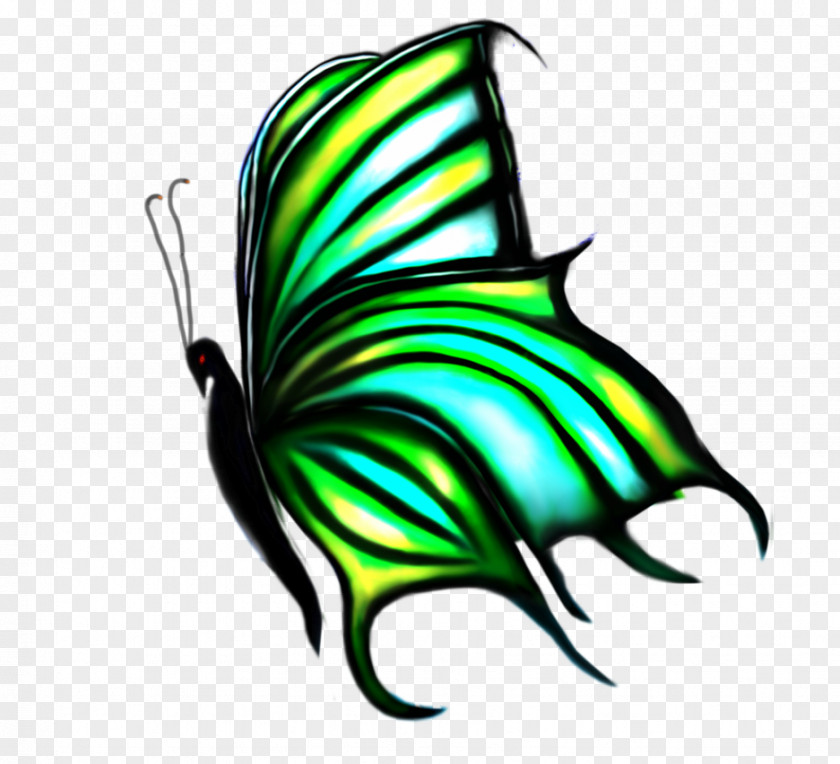 Butterfly Insect Wing Clip Art PNG