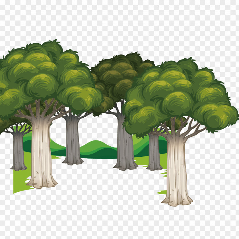 Forest Vector Euclidean PNG