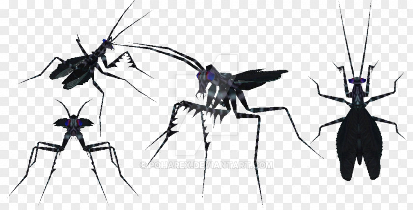 Mosquito Carnivores 2 Insect Mod DB PNG