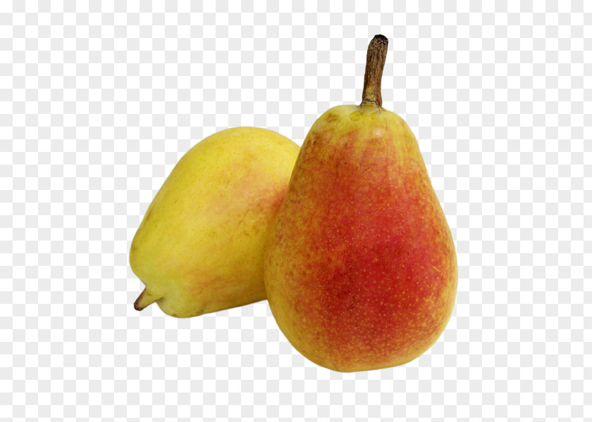 Pear Ercolina Accessory Fruit Tart PNG