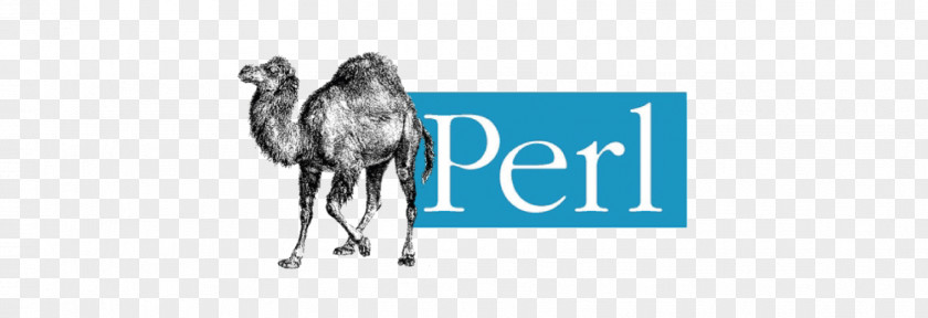 Perl Dynamic Programming Language Scripting Computer PNG