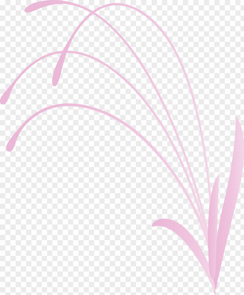 Pink Line Leaf Material Property Plant PNG