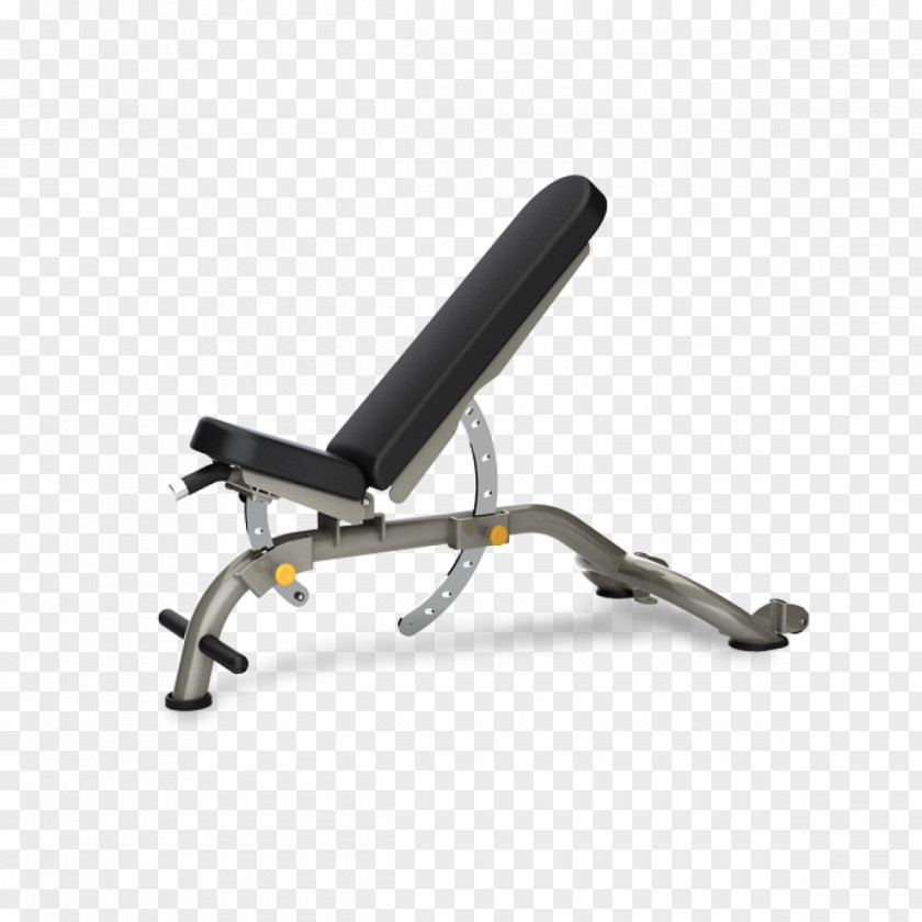 Bench Weight Training Exercise Equipment Fitness Centre Matrix PNG