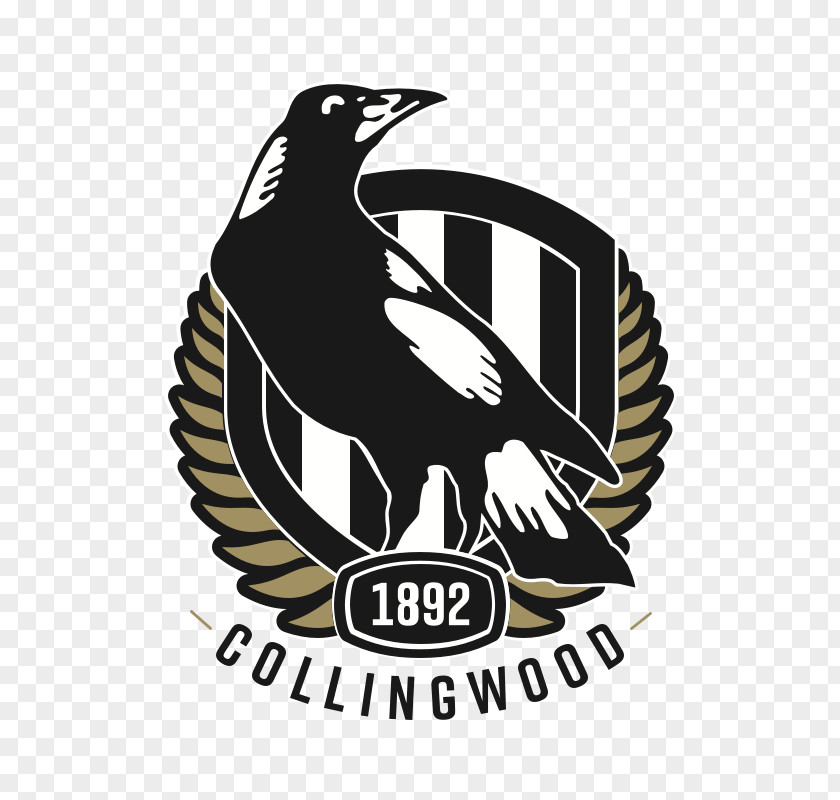 Collingwood Logo Football Club Australian League Rules Carlton Victorian PNG