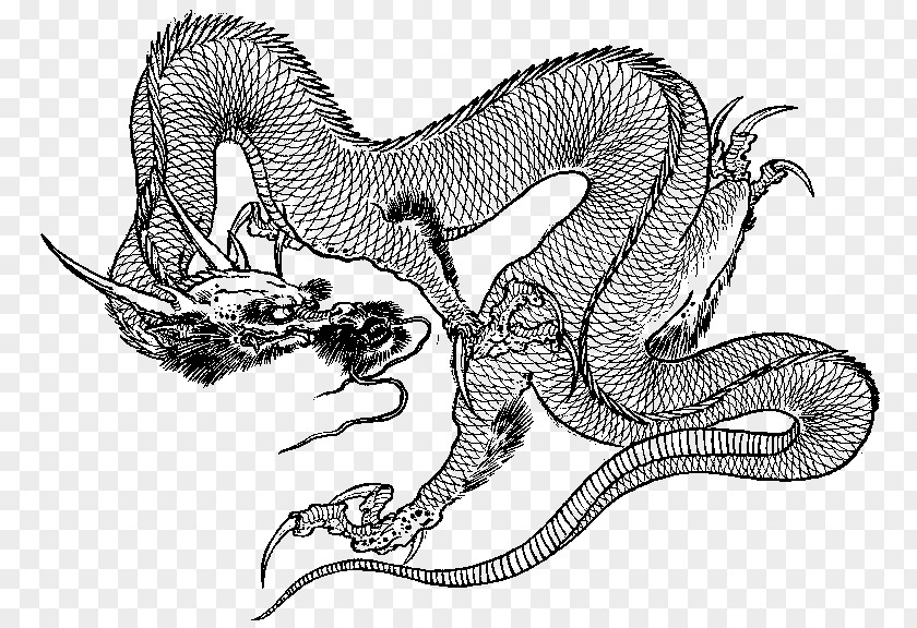 Dragon Chinese Serpent Tattoo Irezumi PNG