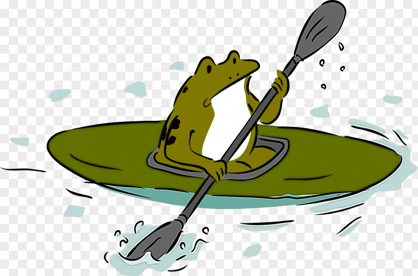 Frogs Science Biology PNG