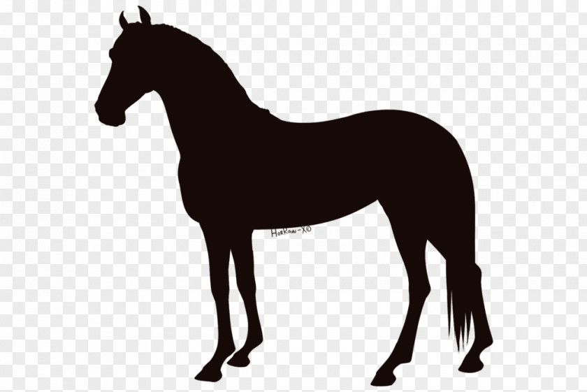 Liver Chestnut Horse Foal Vector Graphics Royalty-free Illustration PNG