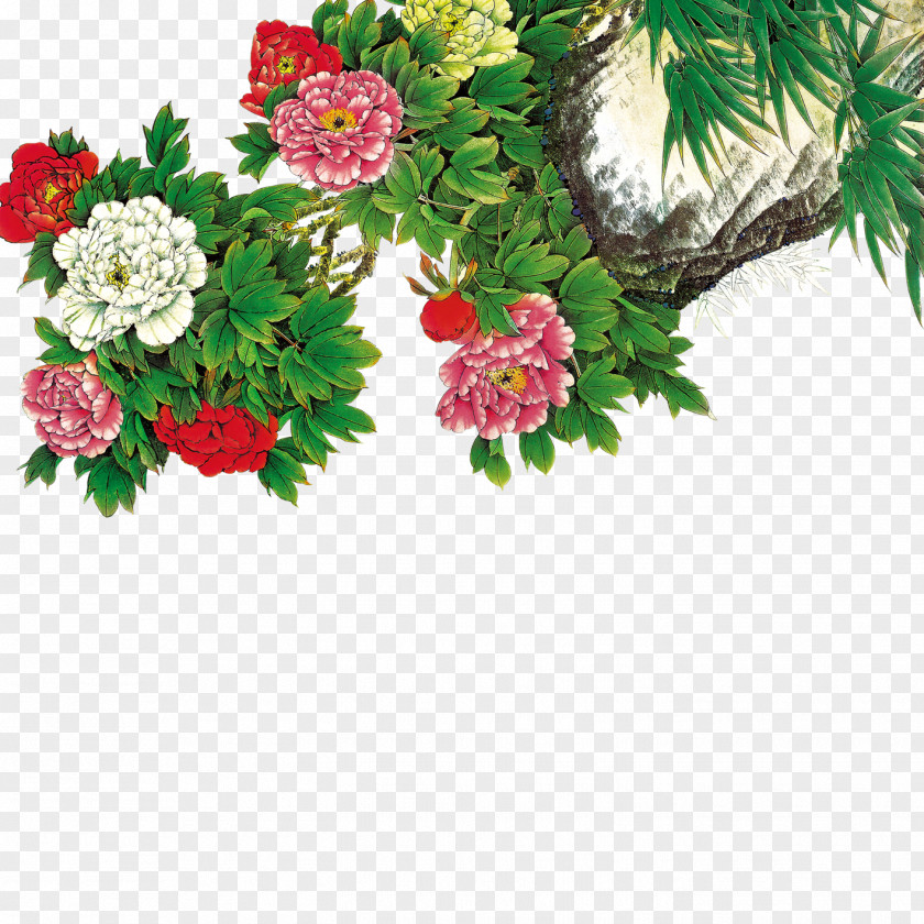 Peony Moutan Floral Design Wallpaper PNG