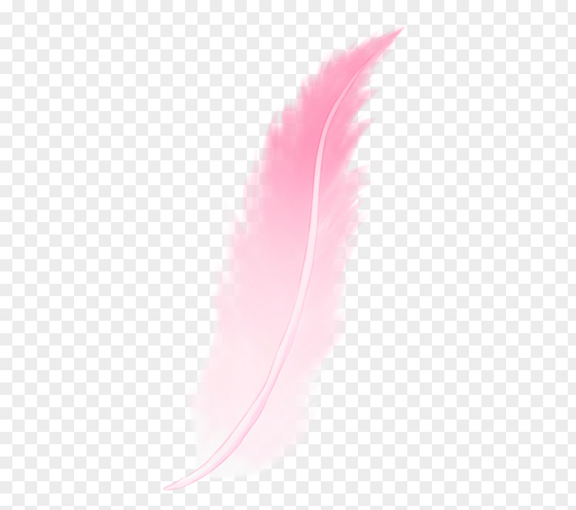 Pink Feathers Desktop Wallpaper M Feather Close-up Computer PNG