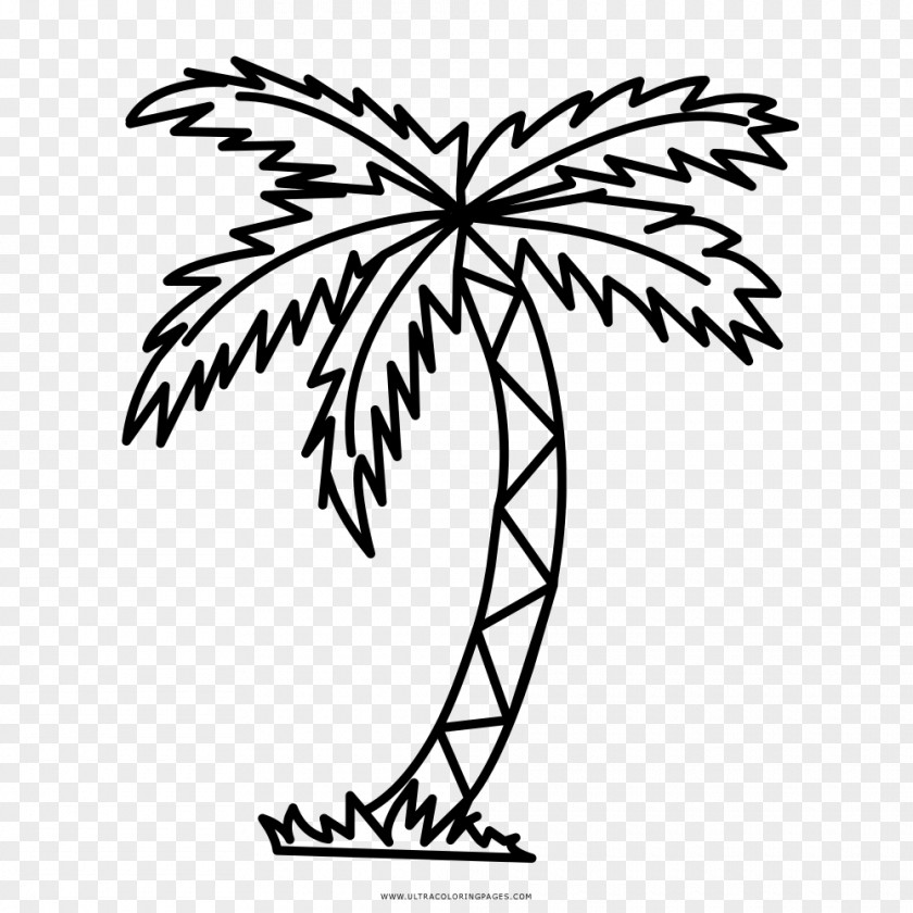 Tree Drawing Branch Arecaceae Clip Art PNG