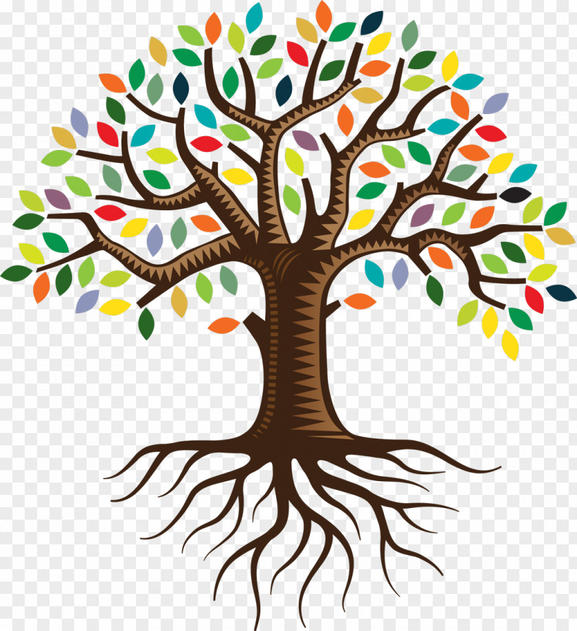 Tree Plan Root Color Clip Art PNG