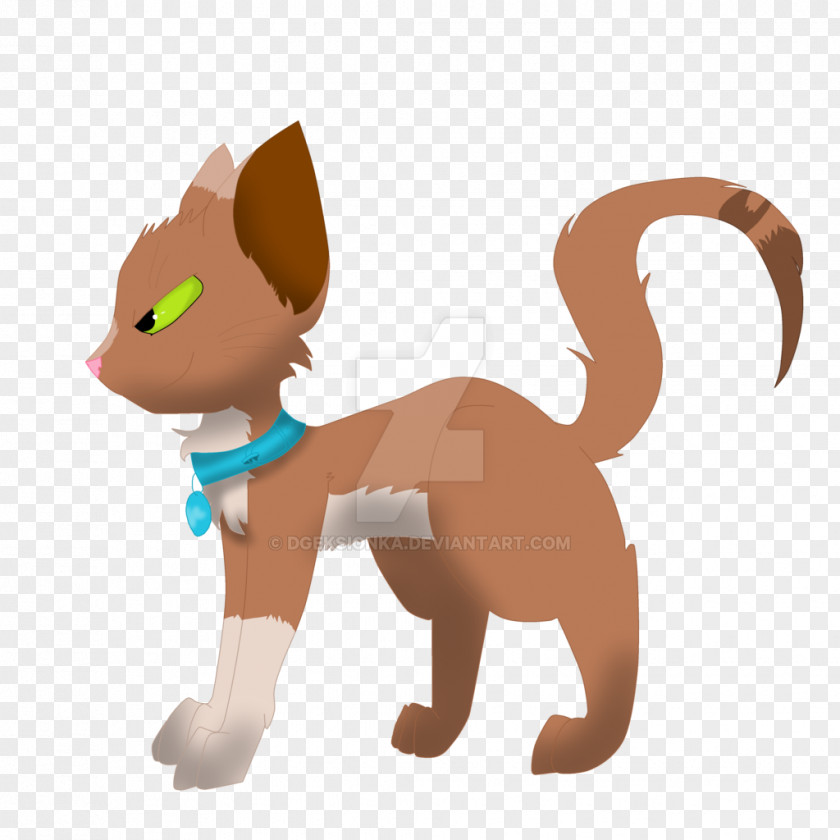 Accordion Cat Kitten Mammal Carnivora Whiskers PNG