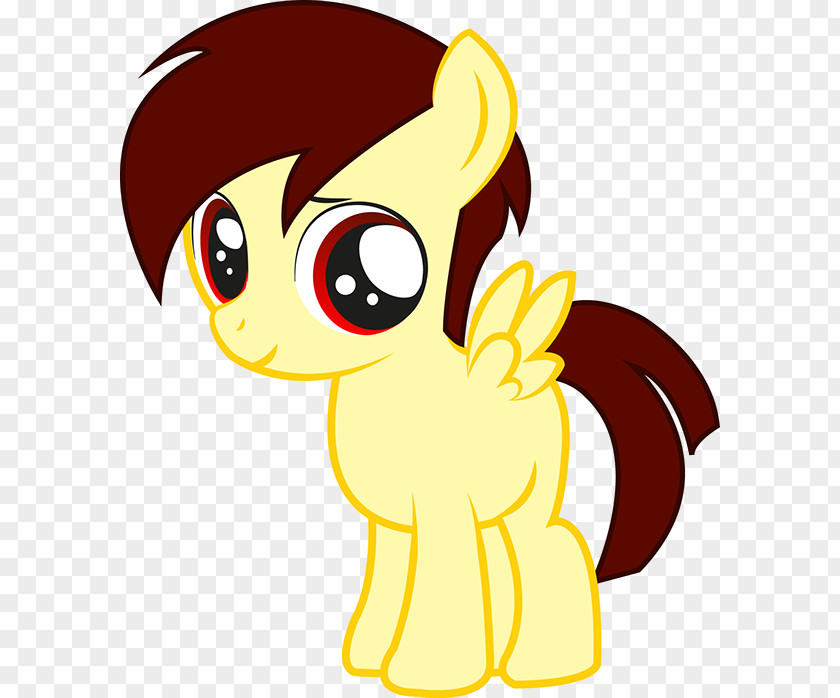 My Little Pony Twilight Sparkle Applejack Fluttershy Rainbow Dash PNG