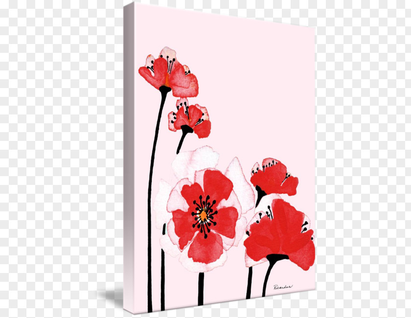 Poppy Field Floral Design Cut Flowers Art Petal PNG