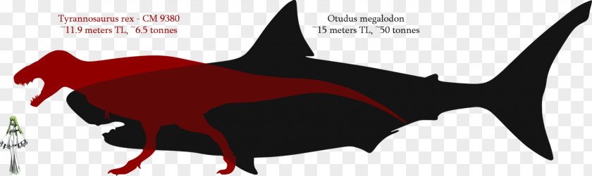 Teeth Model Great White Shark Megalodon Spinosaurus ARK: Survival Evolved PNG