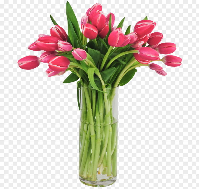 Tulip Cut Flowers Animaatio PNG