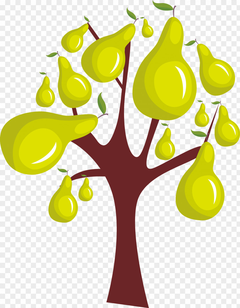 Beautiful Pear Tree Growth Vector Food PNG