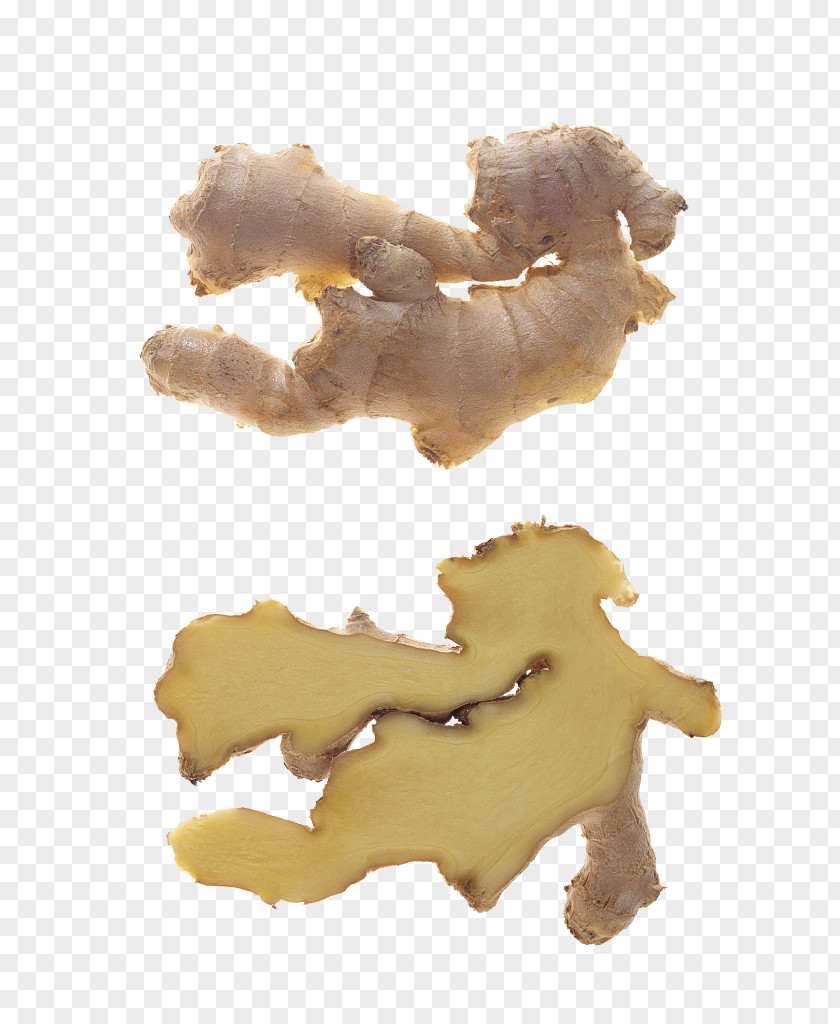 Ginger Slice Pictures Stock Photography PNG