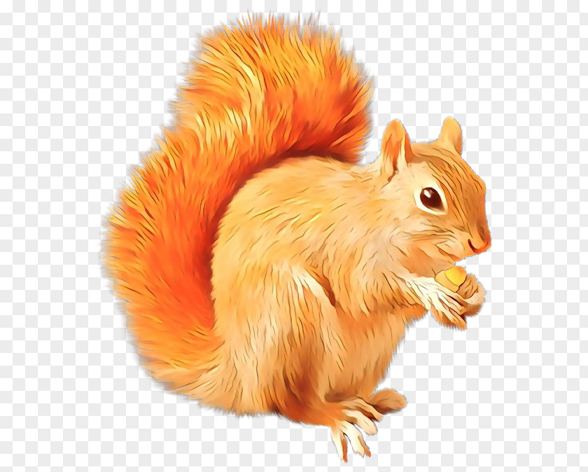 Scrat Squirrel Sid Clip Art PNG