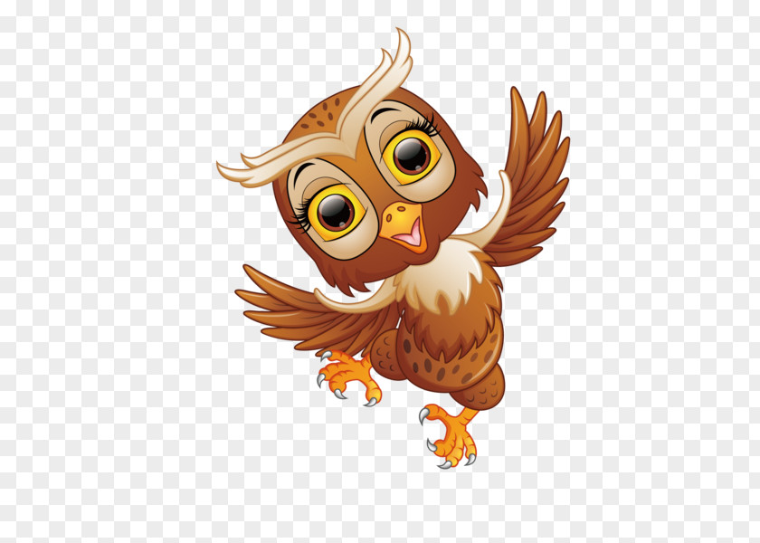 Animation Eastern Screech Owl Cartoon PNG