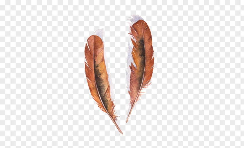 Arts Feather Bird Watercolor Painting Art PNG