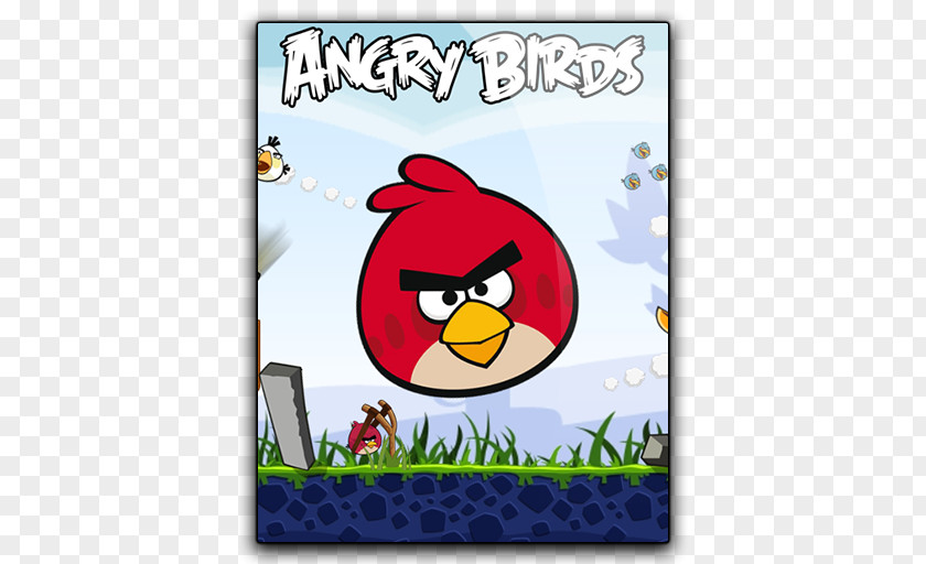 Bird Angry Birds Stella Star Wars 2 Beak PNG