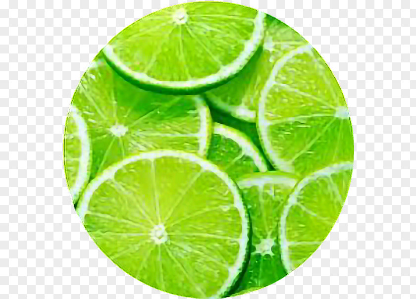 Lime Key Pie Juice Limeade Lemon-lime Drink PNG