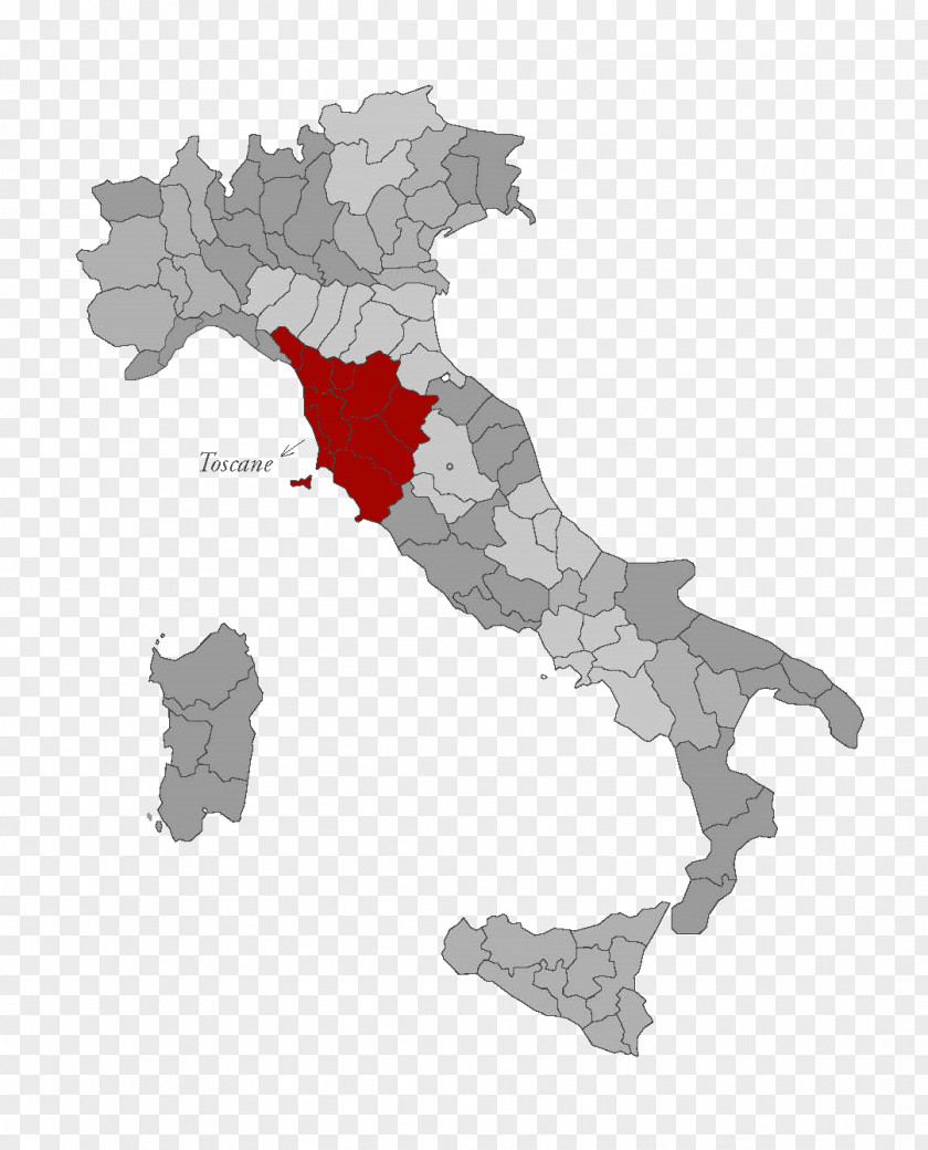 Map Regions Of Italy Vector Flag PNG