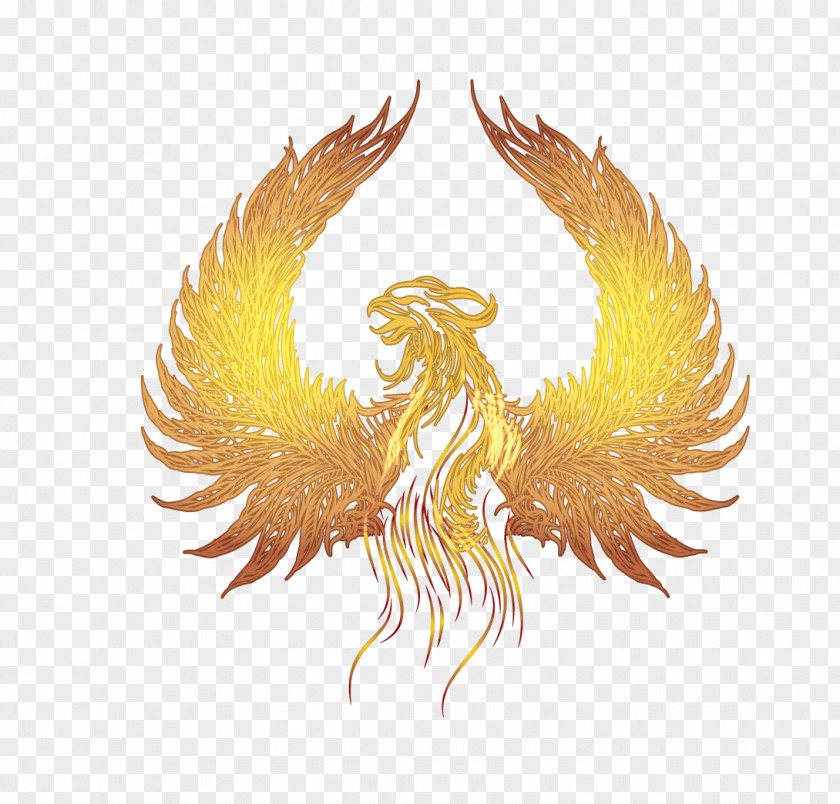 Vector Golden Wings Of The Phoenix Fenghuang Google Images PNG