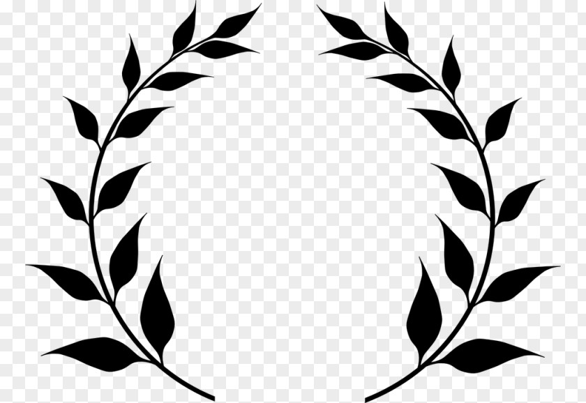 Leaf Laurel Wreath Bay Apollo Clip Art PNG