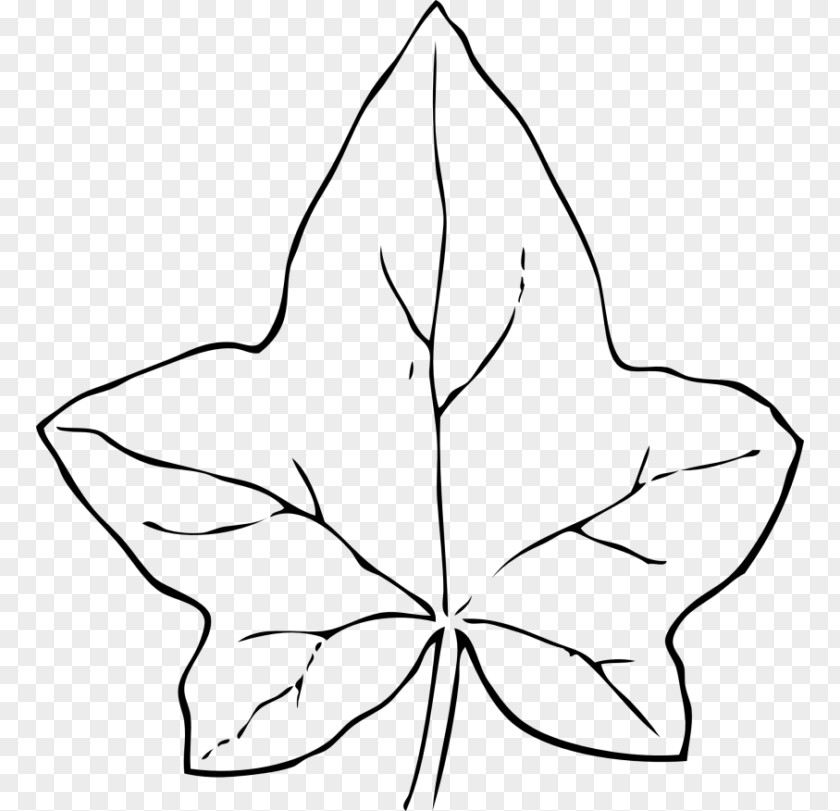 Leaves Black And White Clip Art PNG